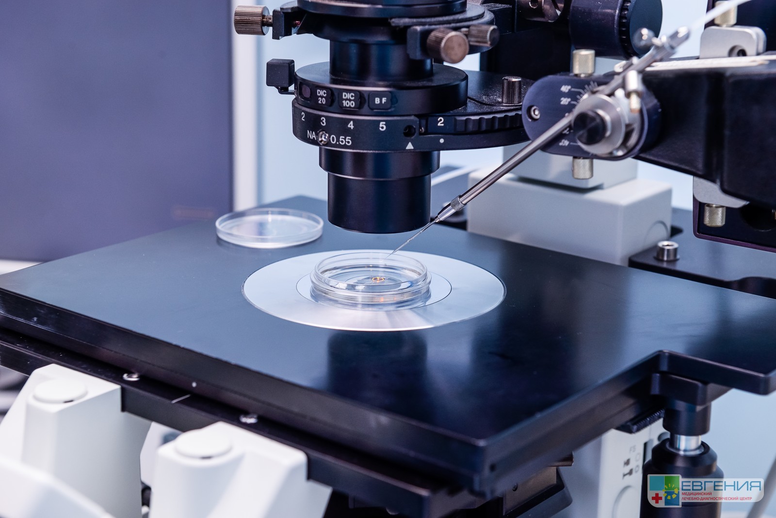 Бесплодие и ЭКО: Современные Подходы к Решению Проблемы