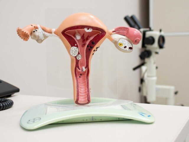 Женское здоровье: какие обследования нельзя пропускать?