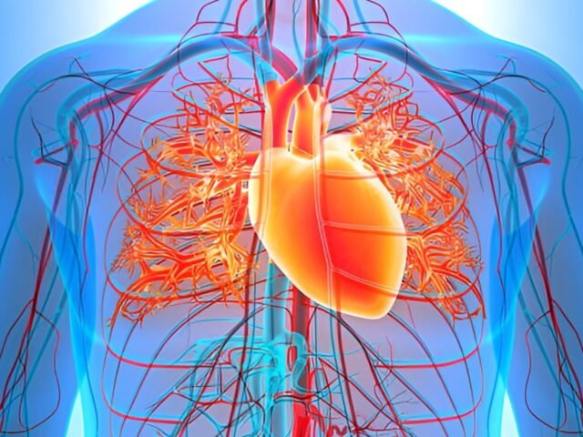 Межреберная невралгия или сердечный приступ? Как отличить