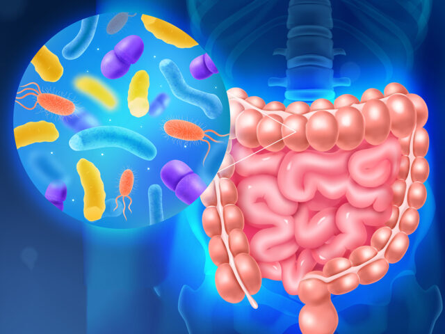 Тайны нашего микробиома: как кишечные бактерии управляют здоровьем